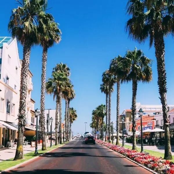Palm-lined street in Cascais, Portugal, with colorful buildings and shops on a sunny day – popular destination on day tours from Lisbon.